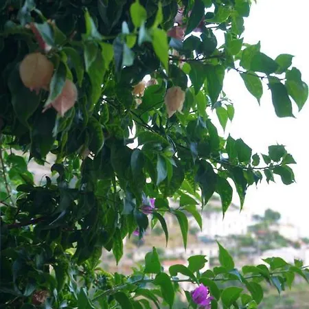 Tatil Evi Mariuccia House Amalfi