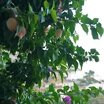 Nyaraló Mariuccia House Amalfi